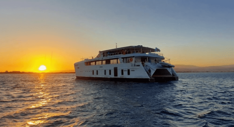 Power Catamaran Salone | Cyprus Yacht Charter